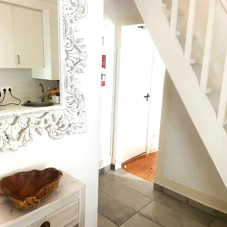 Old Fence - By Mayoral