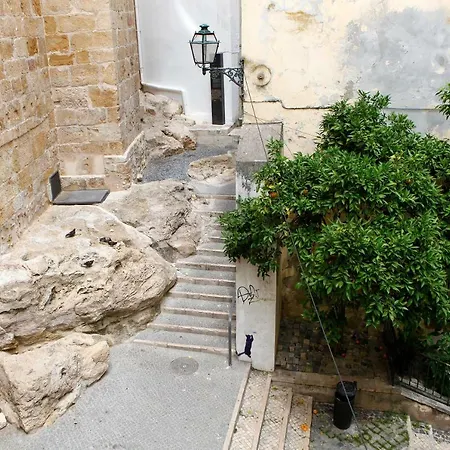 Old Fence - By Mayoral Lisboa