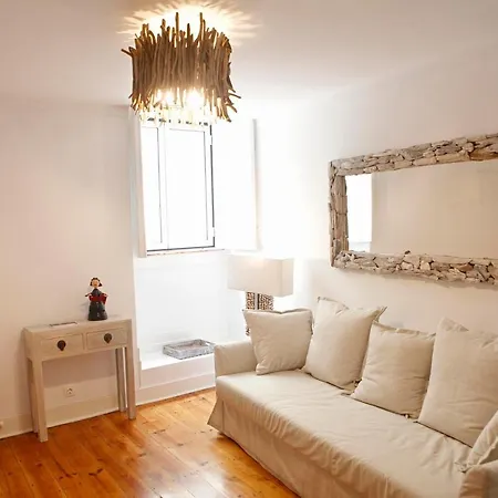 Old Fence - By Mayoral