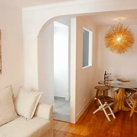 Old Fence - By Mayoral *