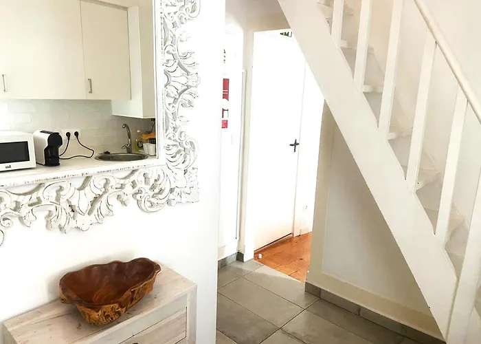 Old Fence - By Mayoral