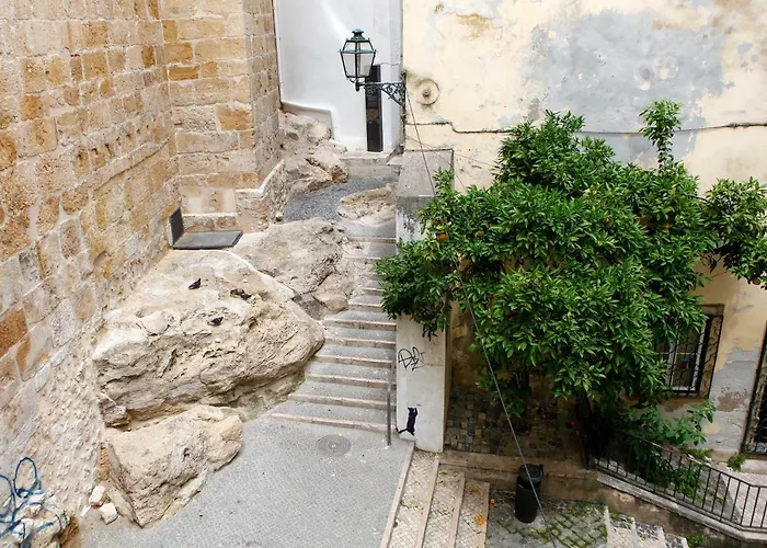 Old Fence - By Mayoral Lisbon